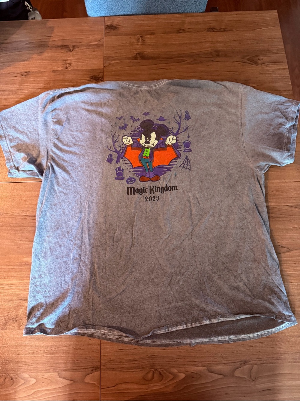 Disney Not So Scary 2023 Graphic T-Shirt